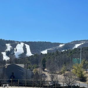 Meet your Posher, Monica